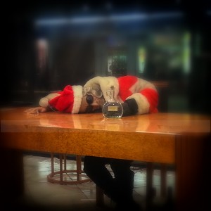 My friend Santa completely drunk after the party we had last night.